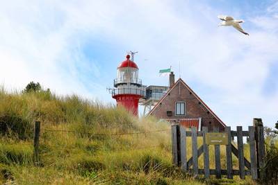 Vlieland-2019-506A1957-pf_original