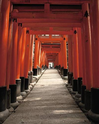Inari I, uit de serie Infinity, (Japan) lambda-print 150 x 120 cm