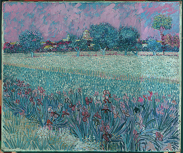 v Gogh Veld met Irissen-S0037-F0409_tijdens-vernisafname-falsecolor