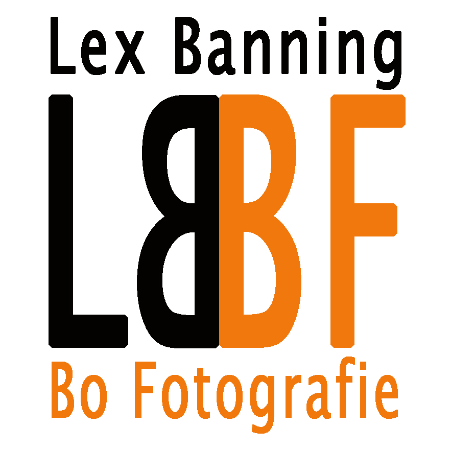 Lex Banning